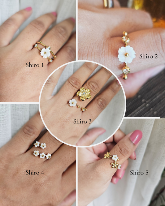 Shiro Rings- stainless steel