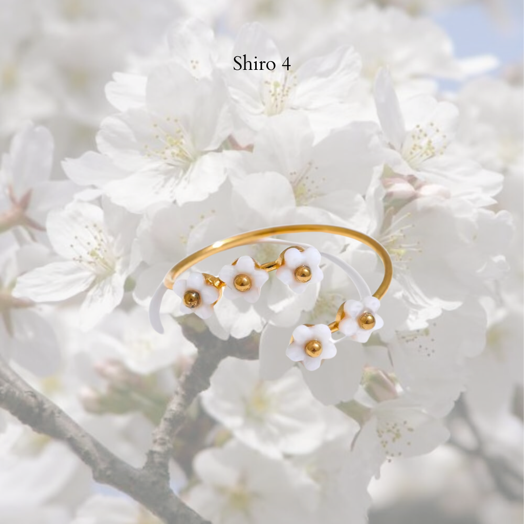 Shiro Rings- stainless steel Style 4