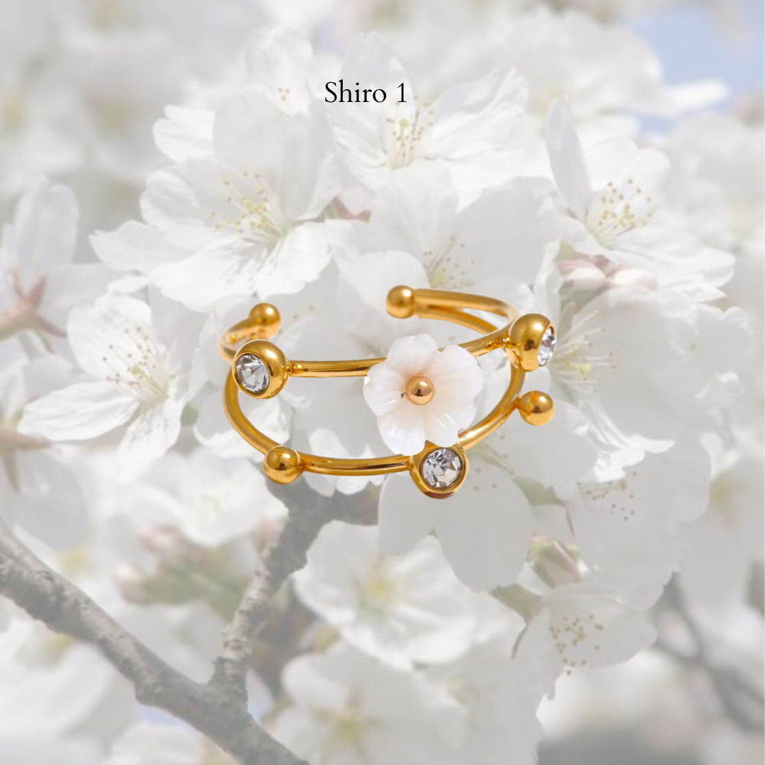Shiro Rings- stainless steel Style 1