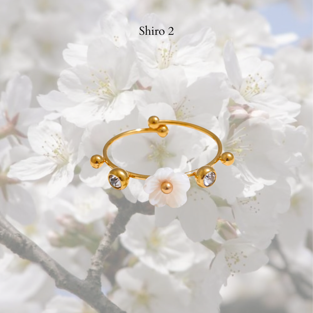 Shiro Rings- stainless steel Style 2