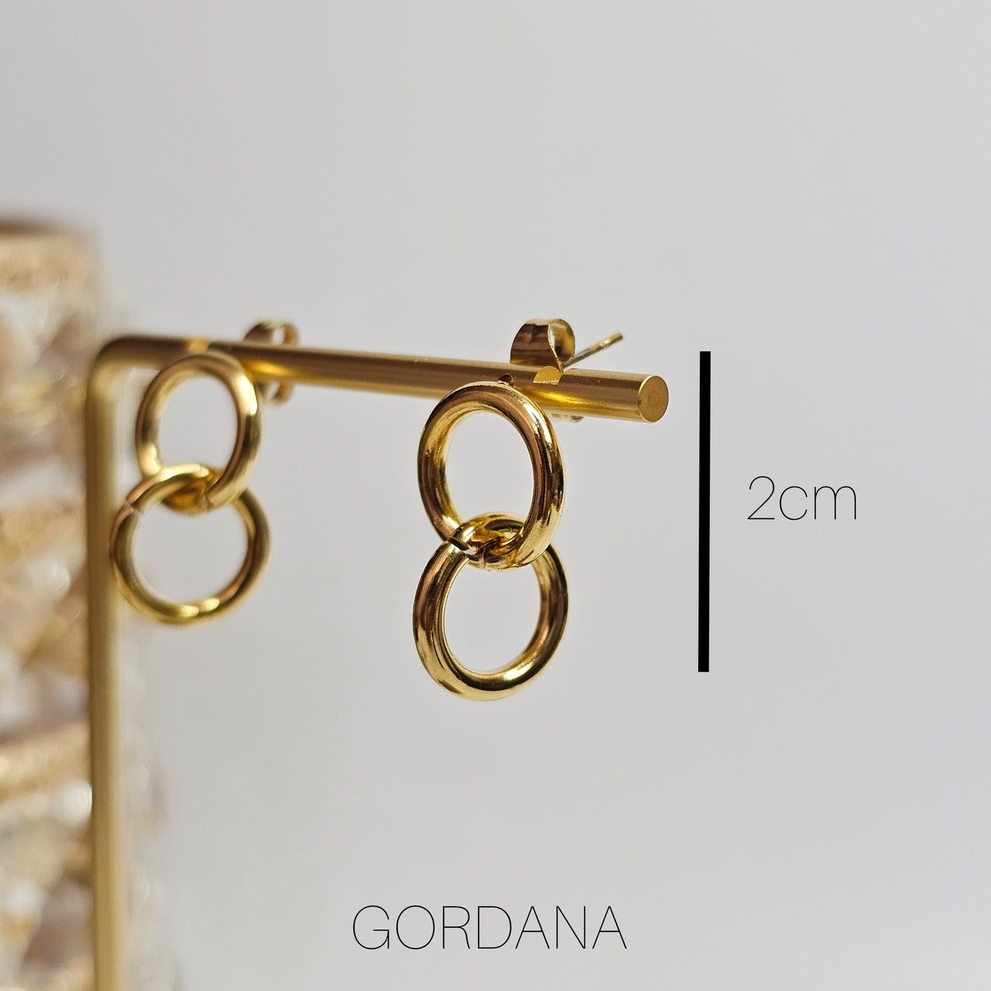 Stainless steel Earrings