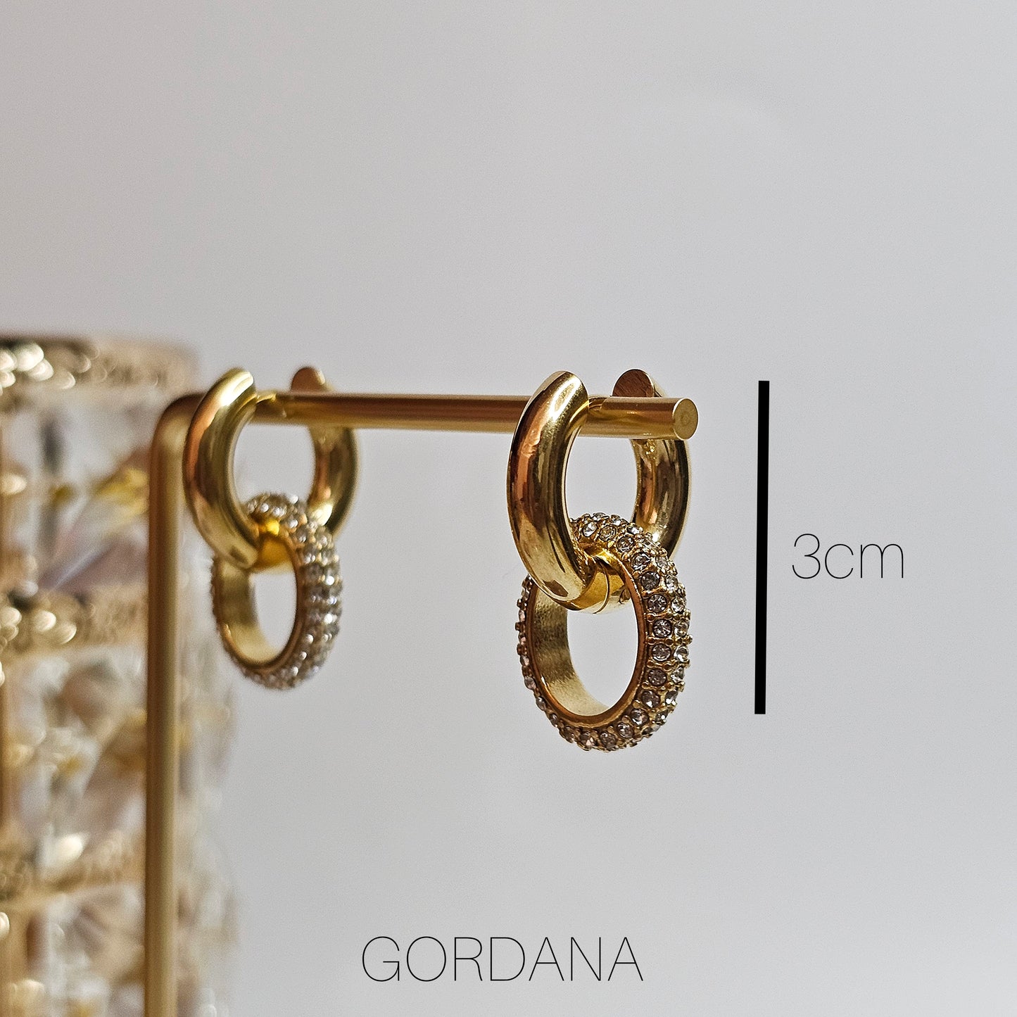 Stainless steel Earrings