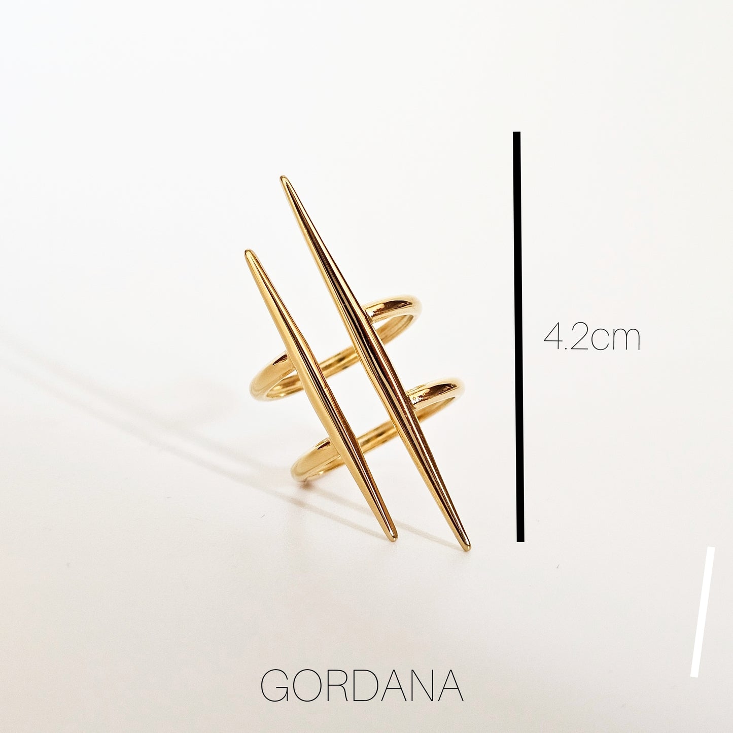 Iris stainless steel Ring